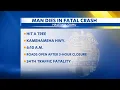 22-year-old man dies after colliding with a tree in Haleiwa