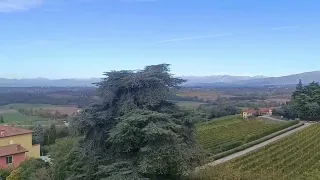                     دندنها