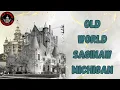 Old World Saginaw Michigan