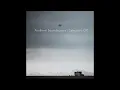 Lauge - Ambient Soundscapes (Selections 015)