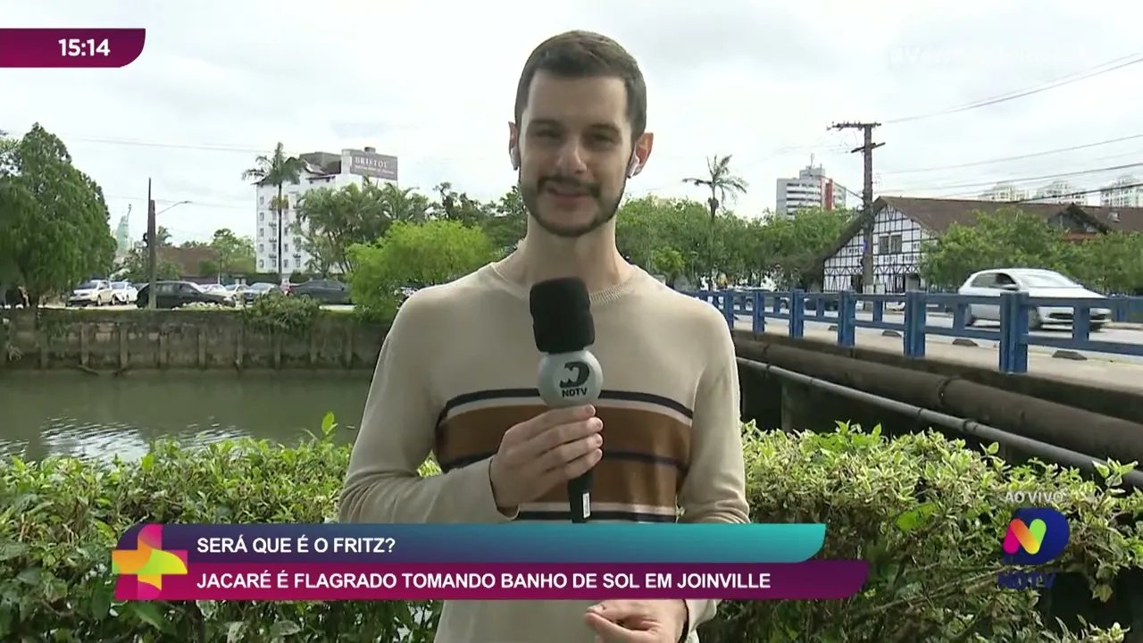 Será que é o Fritz? Jacaré é flagrado tomando banho de sol em Joinville