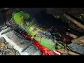 Download Lagu LEZAT DAN NIKMAT,OLAHAN SEDERHANA SAAT MALAM HARI DI PONDOK KEBUN