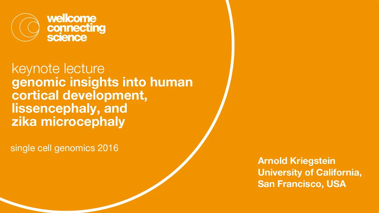 Genomic insights into human cortical development, lissencephaly, and zika microcephaly - Kriegstein