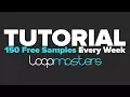 Tutorial How to Get 150 Free Samples from Loopmasters EVERY WEEK