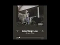 Everything I Love - Morgan Wallen (Super Clean)