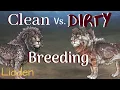 Clean Vs Dirty-Lioden Breeding Topics