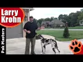 E Collar Remote Collar Training Best Results with Any Dog