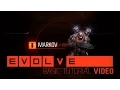 Evolve Markov Basic Tutorial