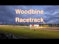 Toronto s Hidden Gem FREE Admission to World-Class Horse Racing Woodbine Racetrack