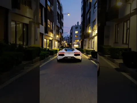 고급 주택단지를 시끄럽게 지나가는 슈퍼카 Supercars noisily pass by luxury housing complexes