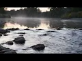 Download Lagu 30 Menit Suara Sungai yang Menenangkan - Sungai Hutan yang Damai