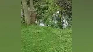 أجمل موسيقى بالعالم الهنود الحمر 