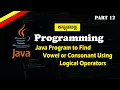 Java Vowel or Consonant Program with Logical Operators OR
