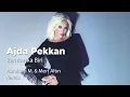 Ajda Pekkan - Bambaşka Biri (Abraham M. & Mert Altın Remix)