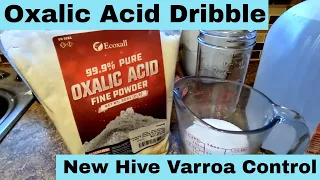 How to Oxalic Acid Dribble - Varroa Mite Treatment for Beginner Beekeeping