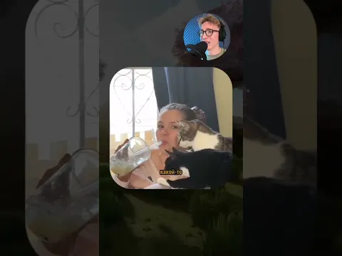 ВИРУСНЫЕ ВИДЕО / Собака пытается открыть дверь 🚪