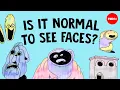 Download Lagu What it means if you can see faces in objects - Susan G. Wardle