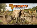 Zoo Tours Giants of the Savanna Dallas Zoo AWARD WINNING