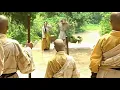Download Lagu 【Film Lengkap】Penjual sayur adalah ahli kung fu yang menyapu 3 biksu Shaolin dengan keahliannya.
