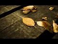 Download Lagu Surah Al-Imran Exegesis Verse (1-13)