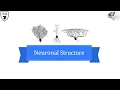Tricky Topics NeuronalStructure