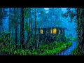 Suara Hujan untuk Tidur - Suara Alam Hujan dan Petir untuk Tidur Nyenyak, Belajar, Santai