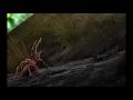 Download Lagu Papa Roach - Between Angels And Insects 1 Hour Version (HD)