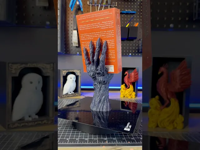 Death's Grasp- Book Display video thumbnail