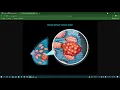 Nitin Kumar Project Breast Cancer Tumor classify into malignant or benign by machine Learning Model