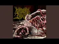 Download Lagu Wretched Abdoment Replacement (feat. Cephalotripsy)