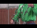 How to Decide Whether to Use a Rope Halter or a Nylon Halter