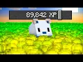 Can You Break Minecraft with Every Optimization Mod