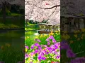 Download Lagu #mujhe bas tujhse dil lagana hai#full screen#4k status #whatsapp lovestatus