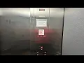 All In One Take At DSW Shoes Rookwood Commons In Cincinnati OH