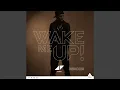 Lagu Wake Me Up (Avicii Speed Remix)