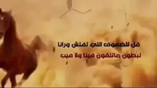 قل للضعوف اللي تفتش ورانا    تبطون ماتلقون فينا ولا عيب   دندنها