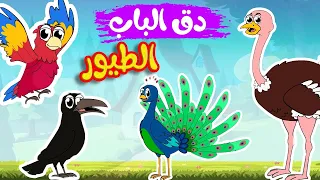 أغنية دق الباب الطيور                                     قناة أسرتنا دندنها