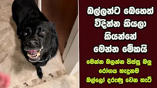 ඔබ මේවා දකින්නේ ජිවිතේ පළමු වතාවට EP:515