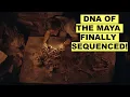 Download Lagu Ancient DNA Reveals Who the Maya Really Were — And Why They Collapsed