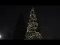 Faribault Light Up A Life 2025