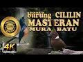 Download Lagu MASTERAN CILILIN suara jernih, therapy air mengalir, audio dan visual premium quality 4K ultra HD