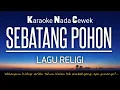 Download Lagu Sebatang Pohon Karaoke Nada Cewek