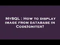MySQL How to display image from database in CodeIgniter