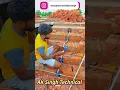 Download Lagu Stair Light 🔥 Biggest Electrical Shoking 🤔 Experiment perfect work 😮 देशी जुगाङ