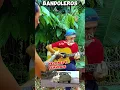 Download Lagu Bandoleros Velozes e Furiosos no violâo ??? #guitar #rockmusic #velozesefuriosos #bandoleros