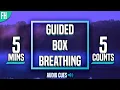 Guided Box Breathing - 5 Minute Meditation 5-5-5-5