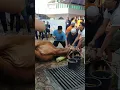 Pemotongan hewan qurban 1,2 ton di masjid Al falah duren sawit