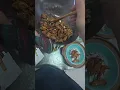 Download Lagu Koki akan mengajarkan Anda cara menumis dan memasak makanan lezat.