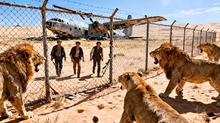 سياح طائرتهم تسقط في غابة اسود متوحشة عليهم ايجاد خطة محكمة للنجاة ملخص فيلم بالدارجة 