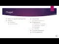 Developmental Psychology REVIEW